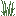 Invicon Tall Grass.png: Inventory sprite for Tall Grass in Minecraft as shown in-game linking to Tall Grass with description: Tall Grass